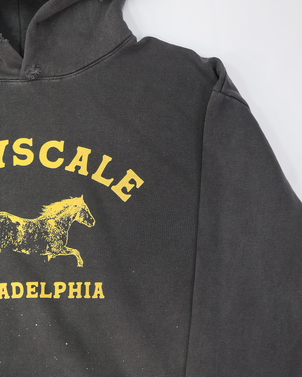 Mustang Hoodie